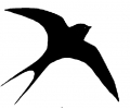  Zwaluwen tattoo voorbeeld Zwaluw 7